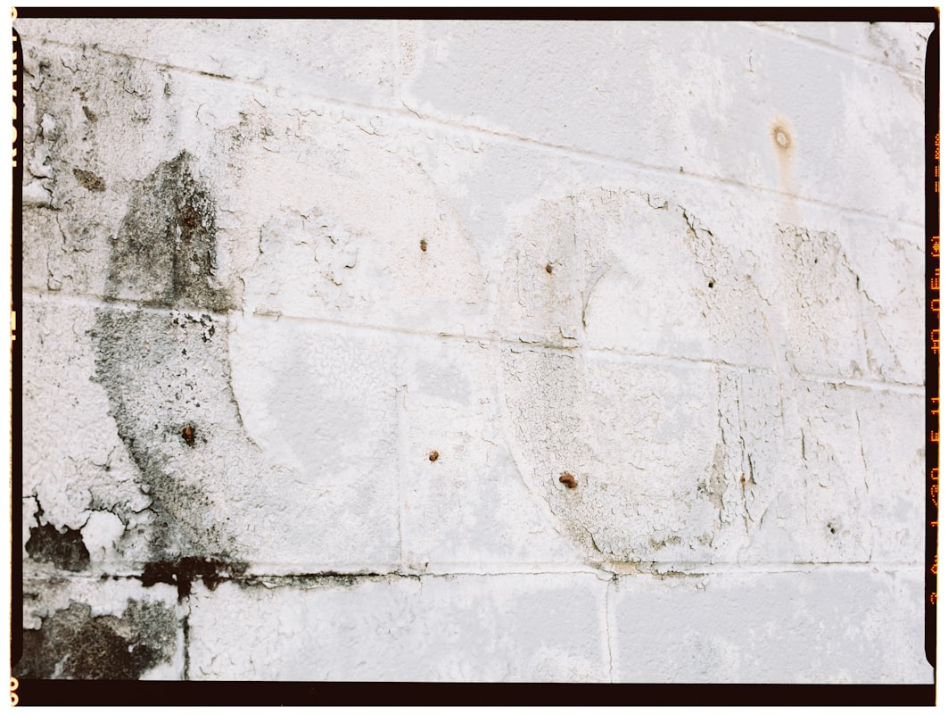 Mold Remediation service in Dundalk, MD