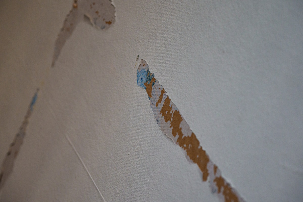 Commercial Water Damage service in Dundalk, MD